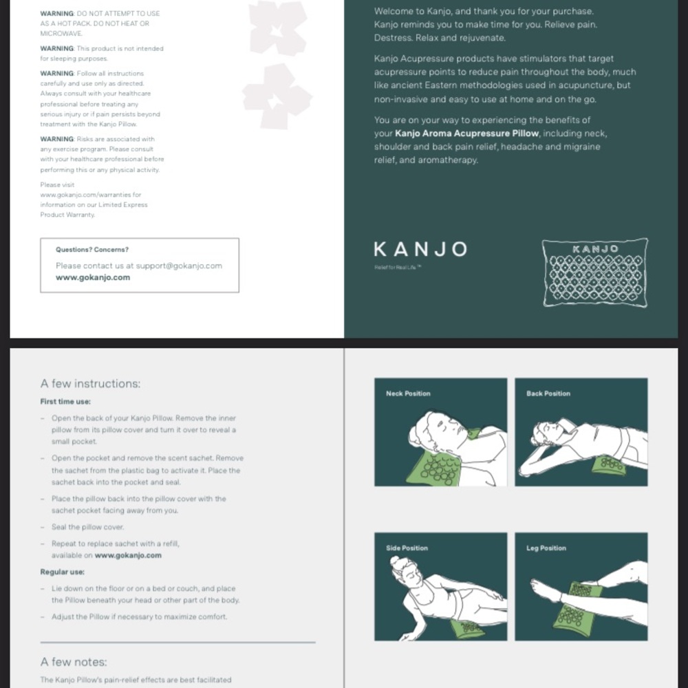 Kanjo pillow